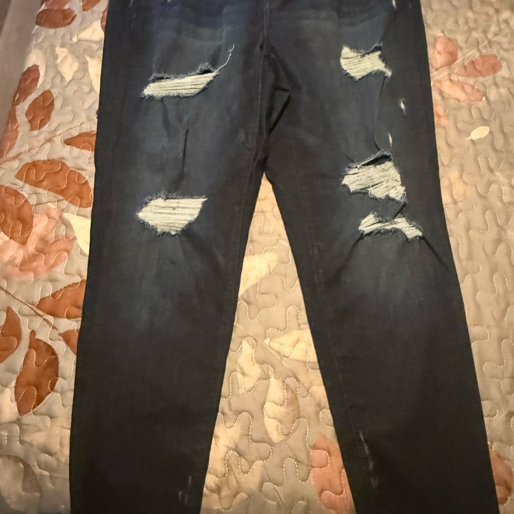 Lane Bryant Dark Blue Skinny Jeans